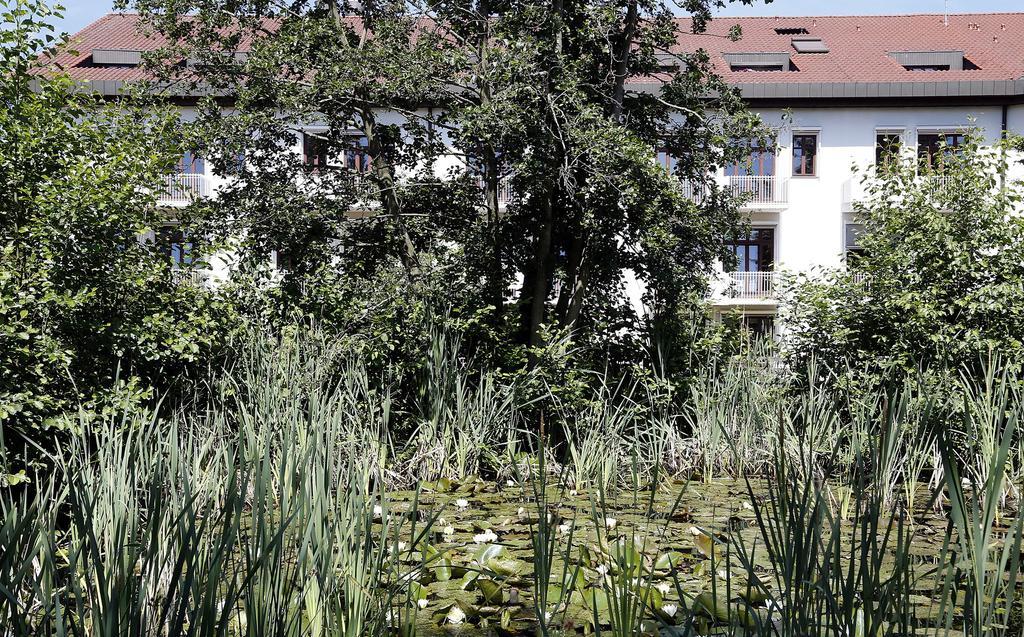 Tagungs- Und Bildungszentrum Steinbach/Taunus シュタインバッハ・アム・タウヌス エクステリア 写真
